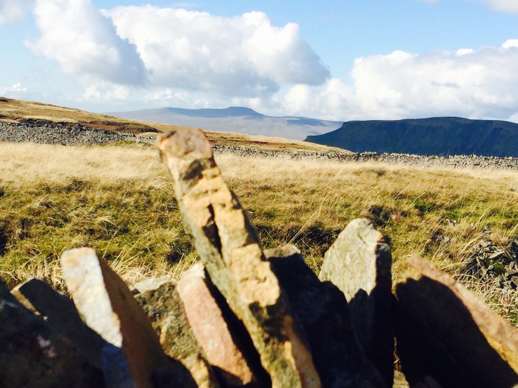 Pen-y-Ghent and Ingleborough from Fountains Fell